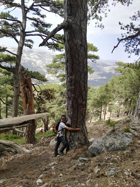 La Sagra, Huéscar