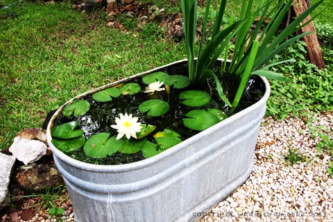 small fish ponds; small fish pond; small fishpond ideas; small fish pond design ideas; small goldfish pond; small backyard design ideas; ideas small fish pond; backyard diy design; backyard diy landscaping; backyard ideas