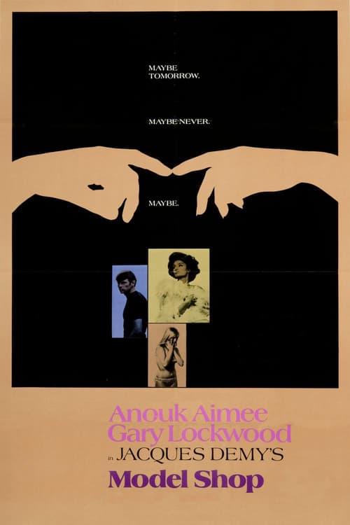 [HD] Estudio de modelos 1969 Pelicula Completa En Español Online