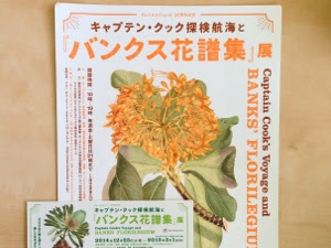 コレクション ラテン語 花 786200-ラテン語 花言葉