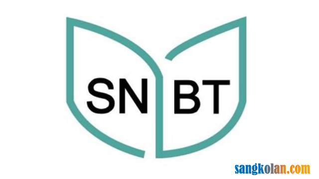 Kisi-kisi Materi UTBK-SNBT 2024 Resmi dari Kemendikbud: Persiapan Untuk Calon Mahasiswa