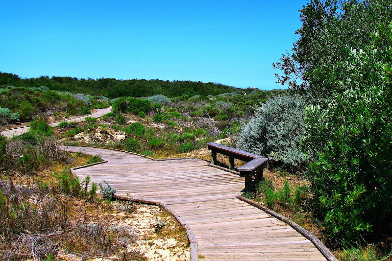 Oso Flaco Lake Boardwalk Trail Through the Dunes Central California Weekend Getaway