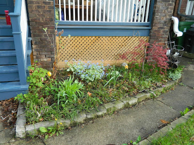 Riverdale Spring Cleanup Front Garden Before by Paul Jung Gardening Services--a Toronto Gardening Company
