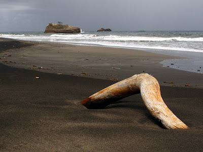 Londonderry Beach is one the many beautiful black sand beaches around the nature island of Dominica