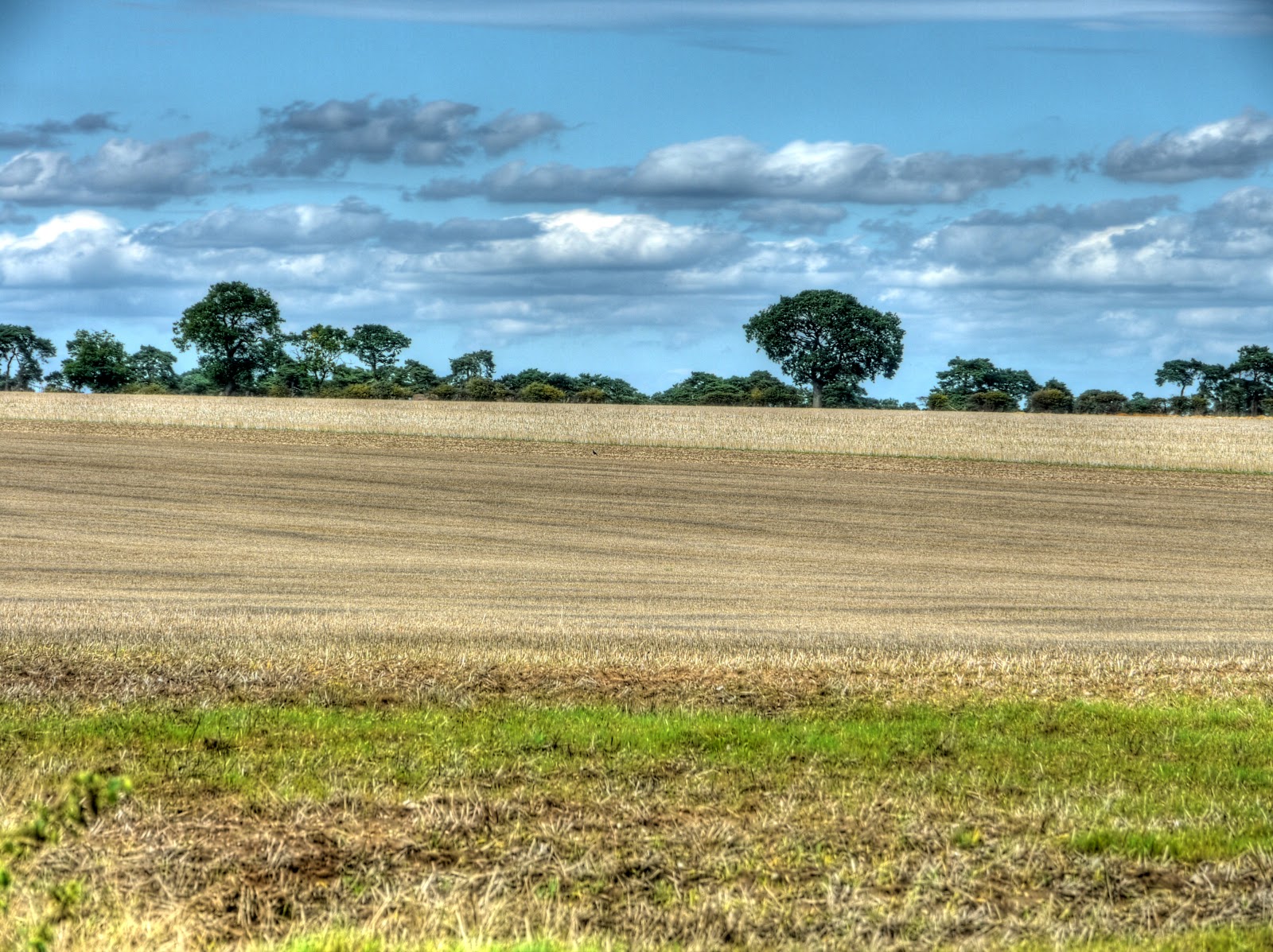 P1160715_09_10_11_12_13_14_tonemapped.jpg