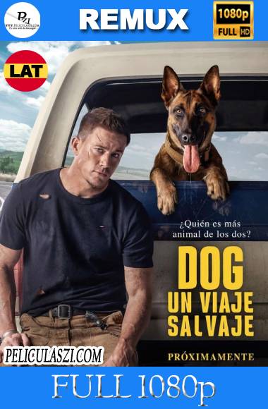 Dog Un Viaje Salvaje (2022) Full HD REMUX & BRRip 1080p Dual-Latino