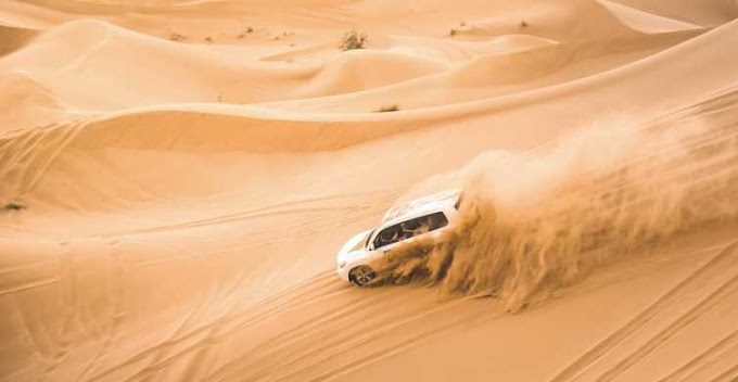 Quatar Desert Safari