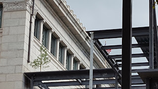 the traditional tree and flag on the topping off beam