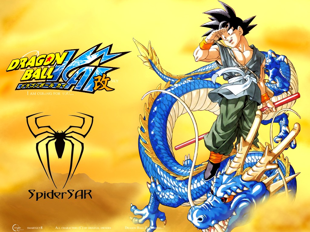 Dragon Ball Z Kai. Plot Summary. Goku is back, now married and has
