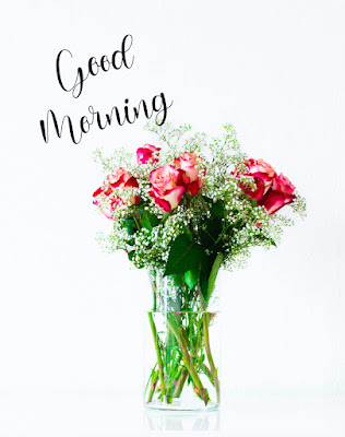 Good Morning Images With Flowers - Happiness Cannot Be Traveled To Owned, Earned, Or Consumed.