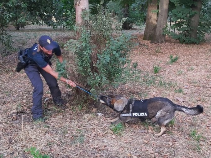 Firenze, cane Antidroga della Polizia di Stato scova un etto di droga nel parco giochi dei bambini alla Montagnola