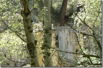 P1210686