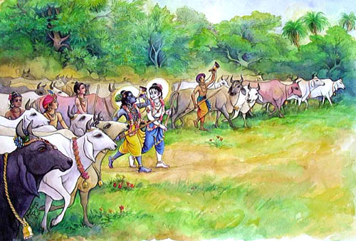 Krishna Balaram Herding Cows