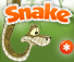 Snake - Jogos de Jogar