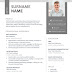 Free resume template in Word format English language template (6)