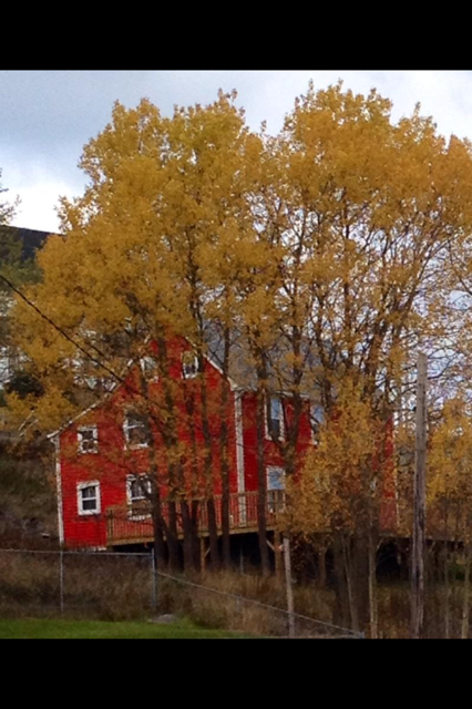 Lawton house, King's Cove, Newfoundland, Margaret Ryall