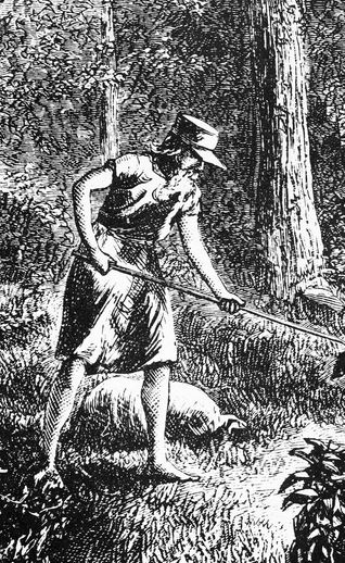 Johnny Appleseed A Pioneer and a Legend