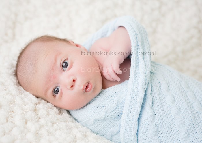 portraits newborns MD