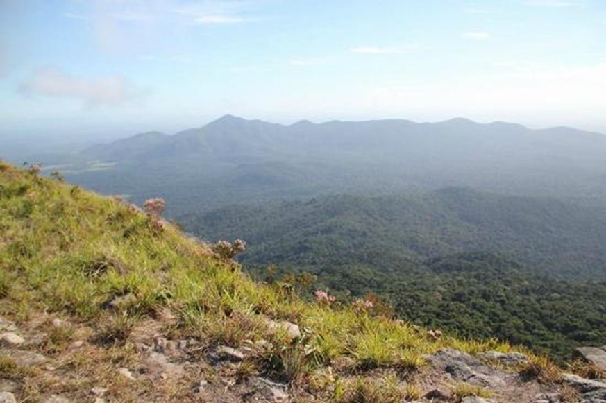 Serra do Tepequém - Amajari, Roraima, foto: Tripadvisor