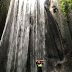 Tukad Cepung Waterfall, Bangli, Bali