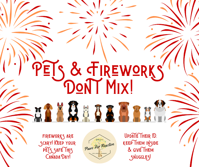 Firework Safety: Fireworks are scary for your pet. Keep your pets safe this Canada Day