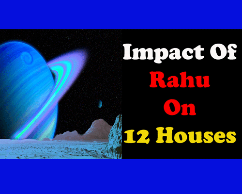 RAHU impacts on 12 Houses in Horoscope