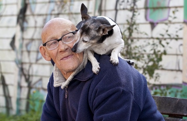 pet therapy how animals improve mental health pets fight loneliness