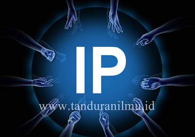 Pengertian dan Tugas Internet Protocol ( IP )