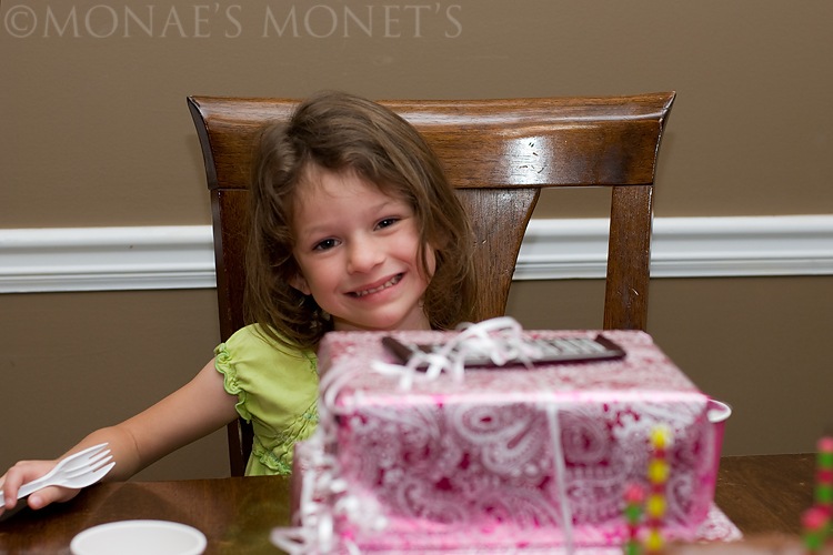 Abby 5th birthday blog