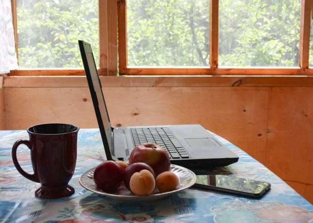 This is a laptop and fruit - 5  Essential Tips Towards Achieving Academic Excellence for Students