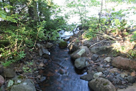 cabin-side creek