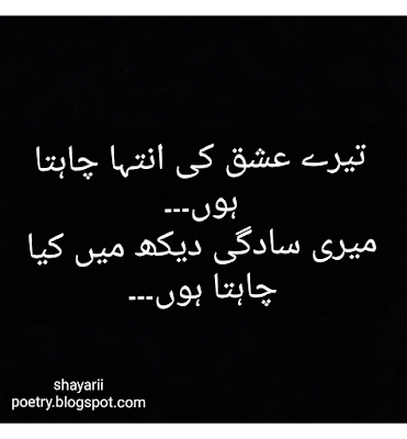 love shayari // best urdu hindi poetry collection