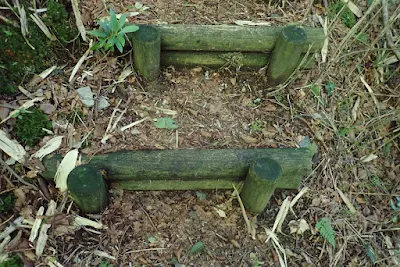 登山道階段