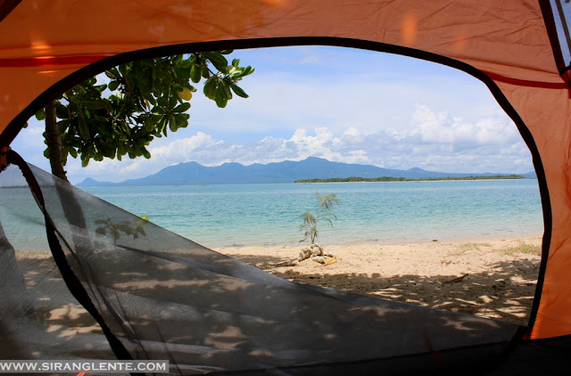 White sand beach with pine trees on Apuao Grande Island