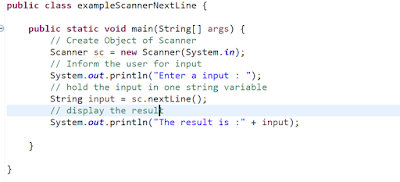 nextLine() method in java