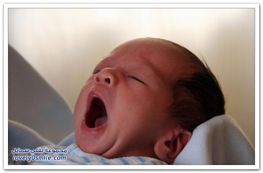 Cute babies with their funniest yawn