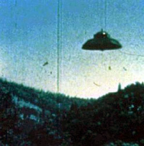 Terence Mckenna Fake Flying Saucer
