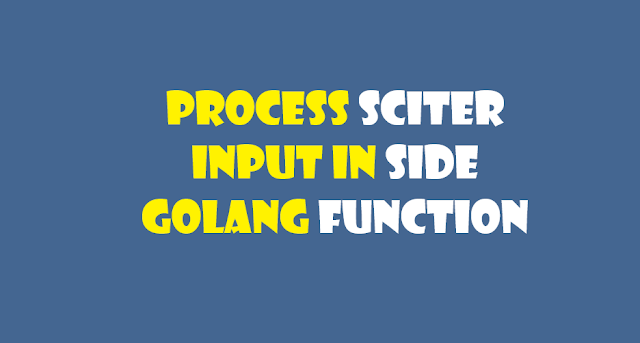 process golang input in sciter