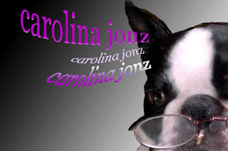 carolina photoshopped wishie dog in winter 2005