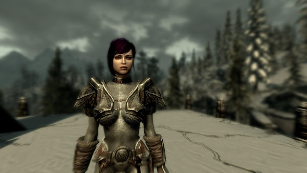 Custom armor for The Elder Scrolls V Skyrim