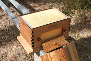 Flow hive photo review MahakoBees