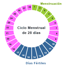 dias ovulacion calendario