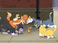  Download  The Tom  and Jerry  Show Episode 1 26 Gratis Film  
