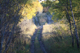 ATV trails, Sprucewoods