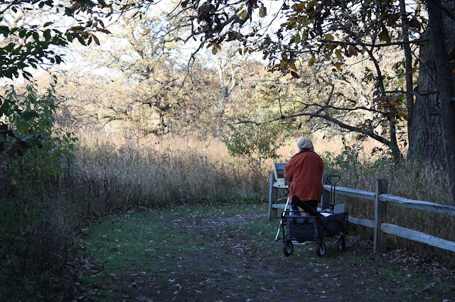 Seeing beauty as the season changes at Crabtree Nature Center.