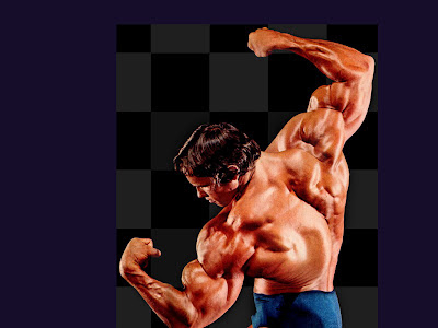 Bodybuilding Art Photos