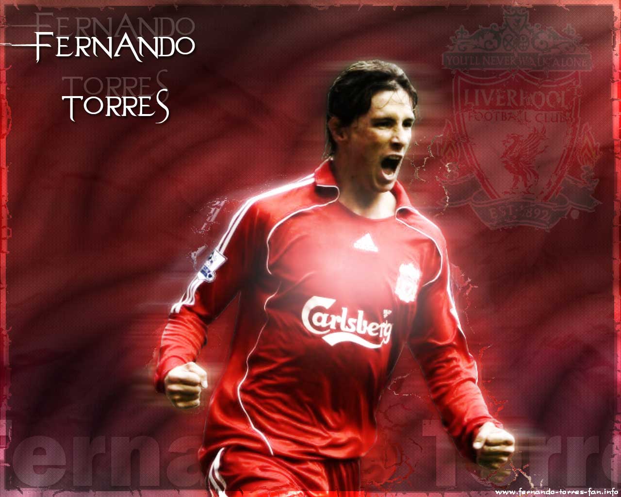 Fernando Torres Liverpool