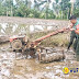 Babinsa TNI di Nias Bantu Petani Mengolah Sawah 