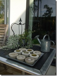 Augusti 2009 060