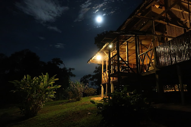 Anochecer en la selva de Puerto Maldonado